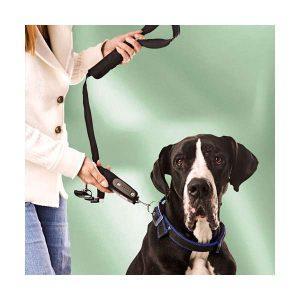 Karlie Dog-E-Walk Dogtrainer – Bild 2