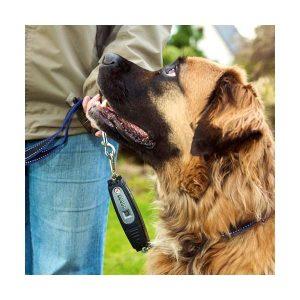 Karlie Dog-E-Walk Dogtrainer – Bild 3