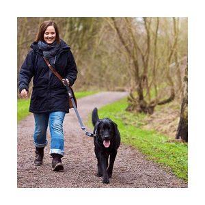 Karlie Dog-E-Walk Dogtrainer – Bild 4