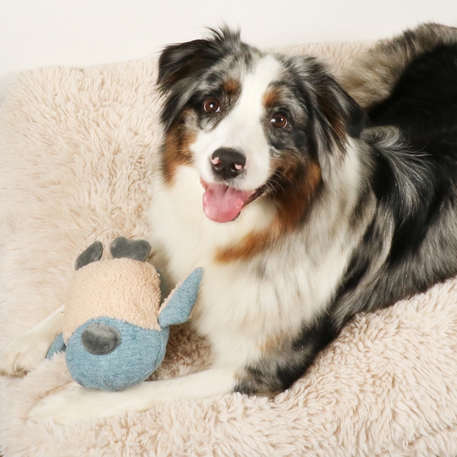 D&D Hundespielzeug Isla Chenille - blau – Bild 5