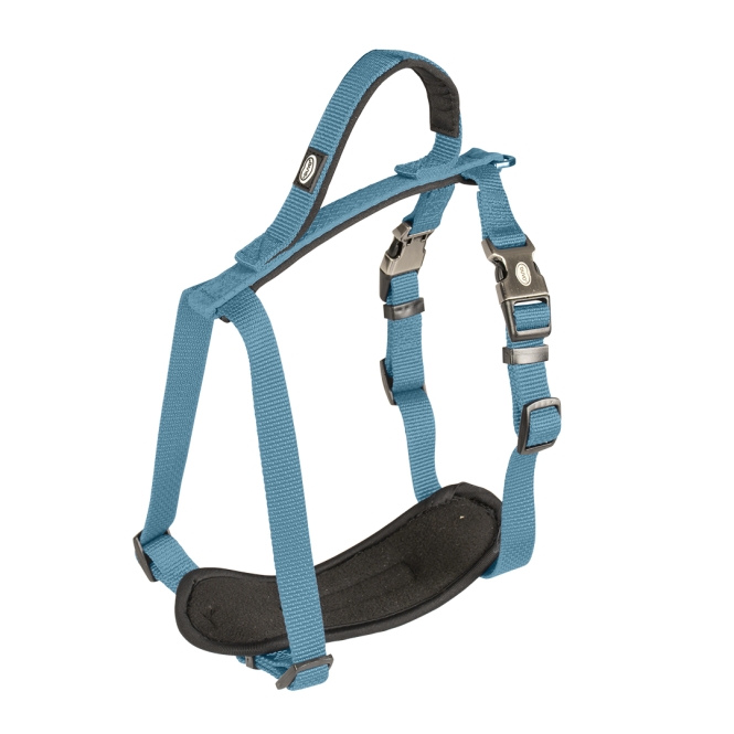 Duvoplus EXPLOR North Geschirr - Petrolblau - 80-100cm/25mm