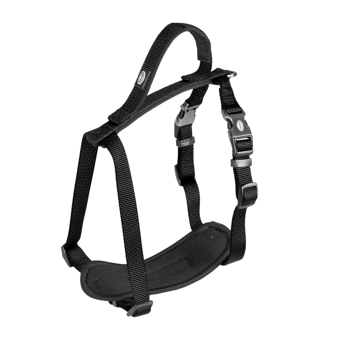 Duvoplus EXPLOR North Geschirr - Schwarz - 30-40cm/15mm